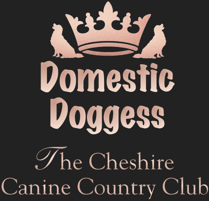 Site's Logo